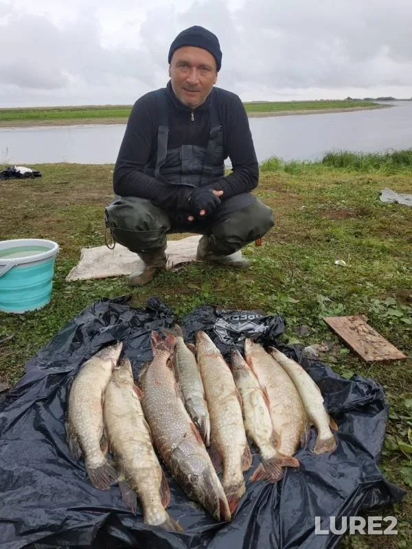 Pike — protoka Furinskaya Ob, Oct 16, 2019