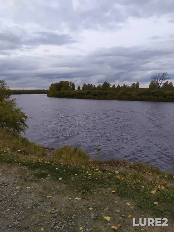 Pike — Tura, Sep 21, 2019