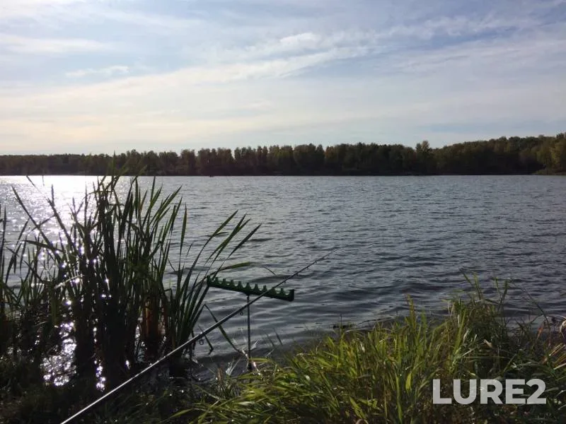Crucian carp — Tyumenskaya oblast, Uporovskiy rayon, Sep 21, 2019