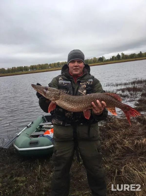 Pike — Yershovo, Sep 27, 2019