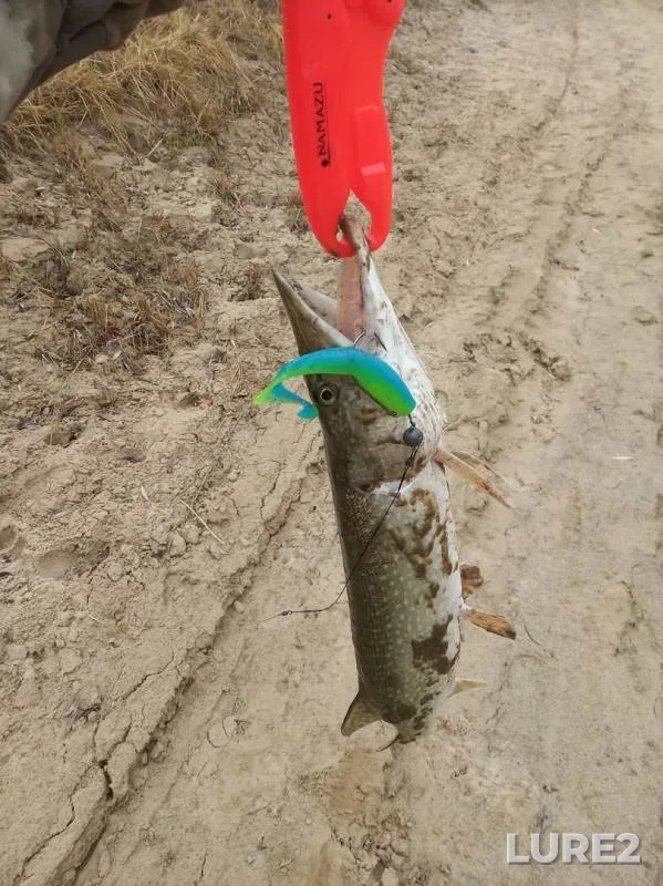 Pike — Yesіl, Oct 19, 2019