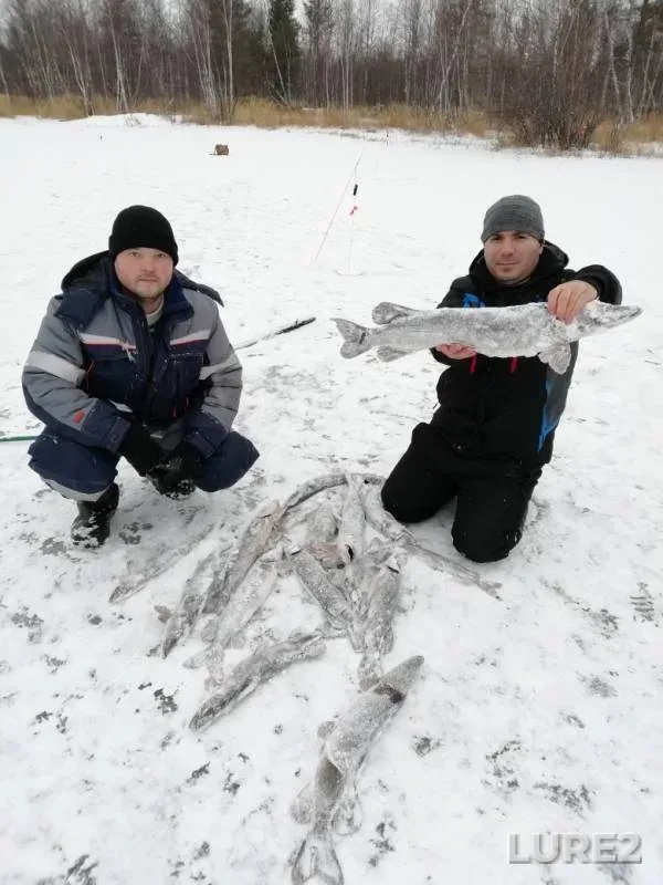 Pike — Nyucha-Kotukhta, Oct 28, 2019