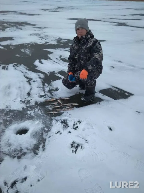 Perch, Roach — Yantykovo, Nov 16, 2019