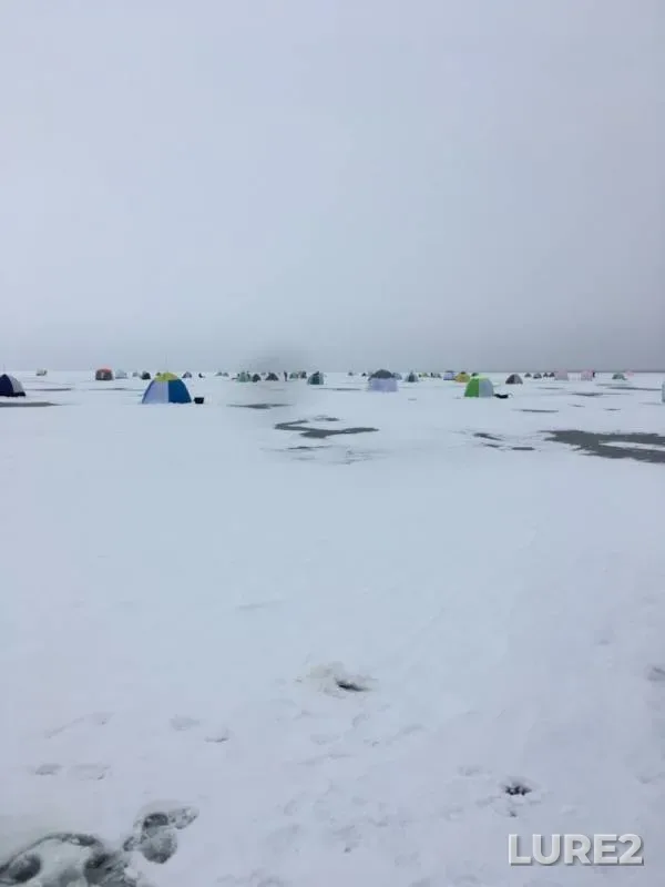 Crucian carp — Bolshoy Kamagan, Nov 16, 2019