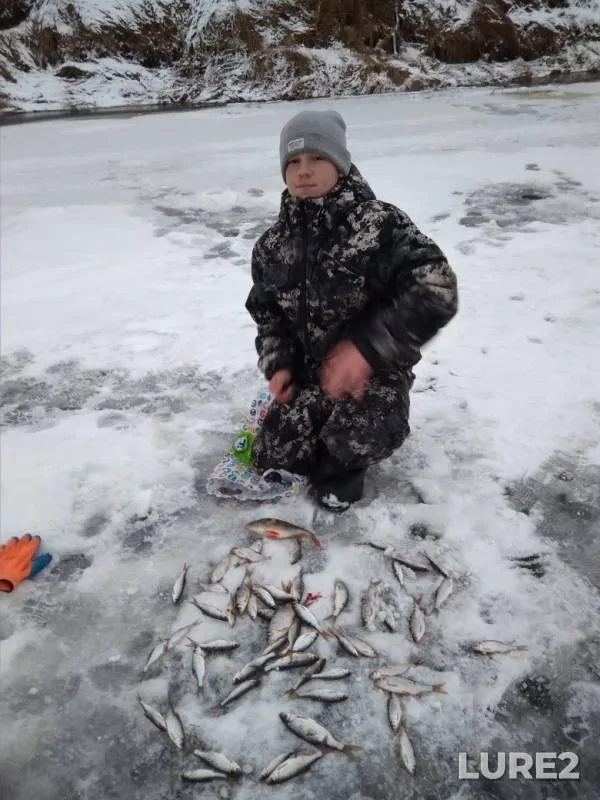 Pike, Roach — Prorva, Nov 17, 2019