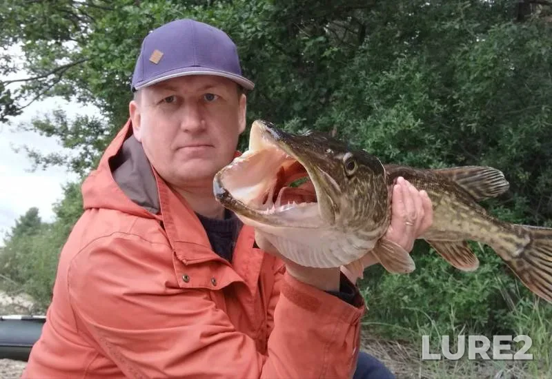 Pike — Vuoksa, Jul 30, 2019