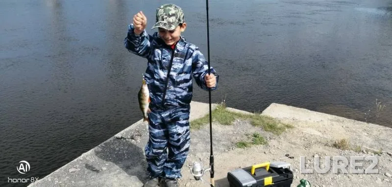 Perch — Volgo-Baltiyskiy kanal, Aug 07, 2019