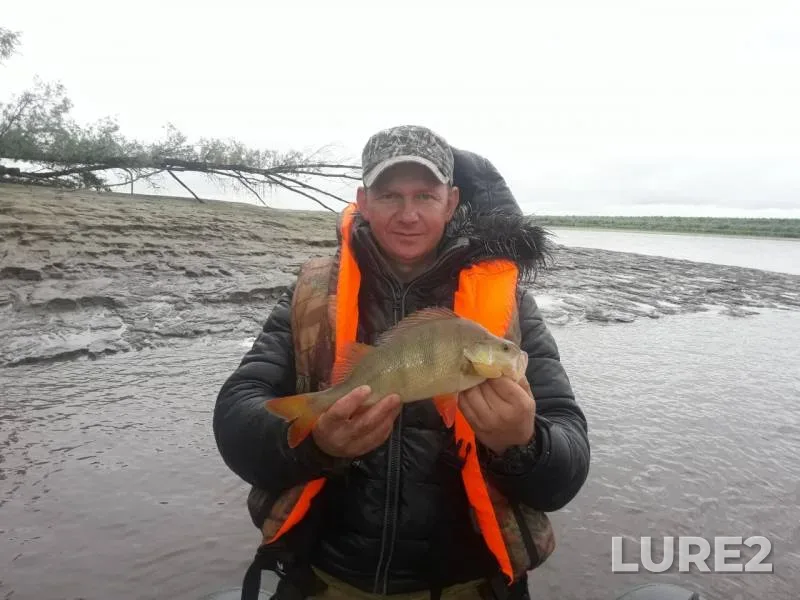 Perch, Pike — Irtysh, Jul 31, 2019
