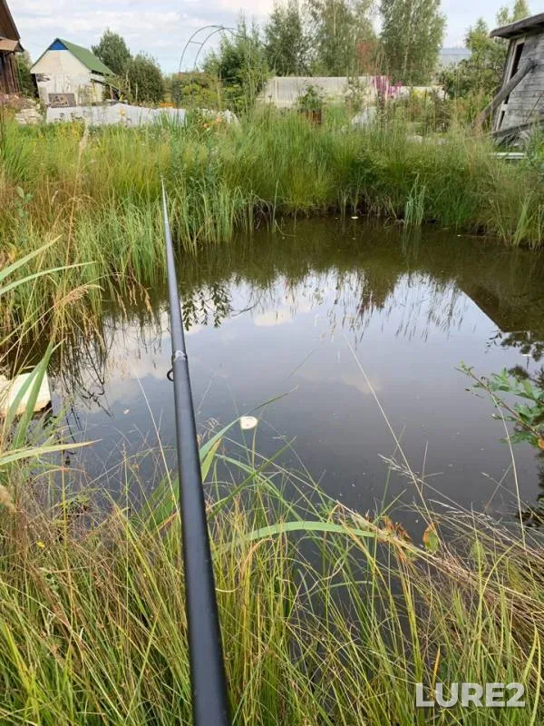 Crucian carp — Leningradskaya oblast, Vsevolozhskiy rayon, Aug 23, 2019