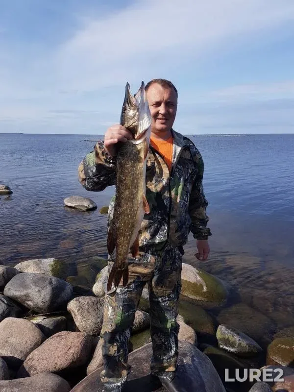 Pike — Leningradskaya oblast, Volkhovskiy rayon, Sep 09, 2019
