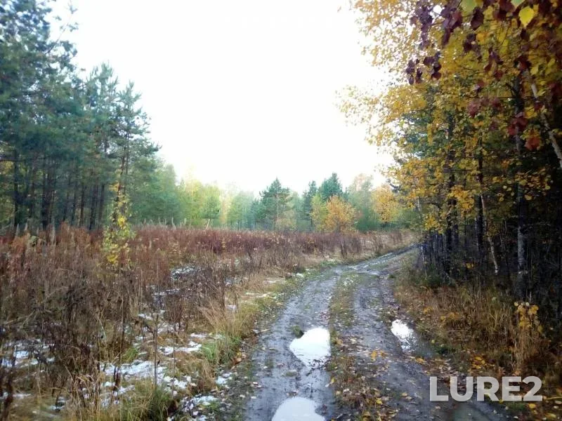 Pike — Kuunjoki / Dymovka, Oct 05, 2019