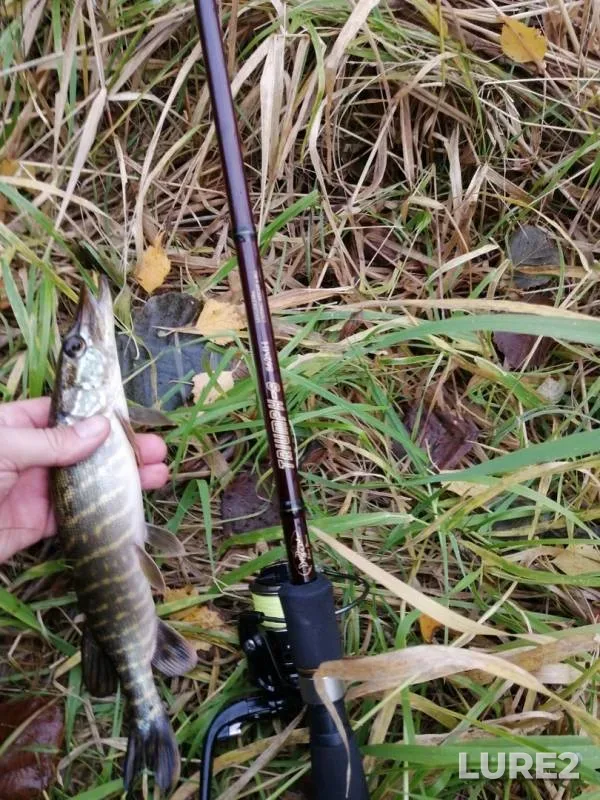 Pike — Sukhodolskoye, Oct 13, 2019
