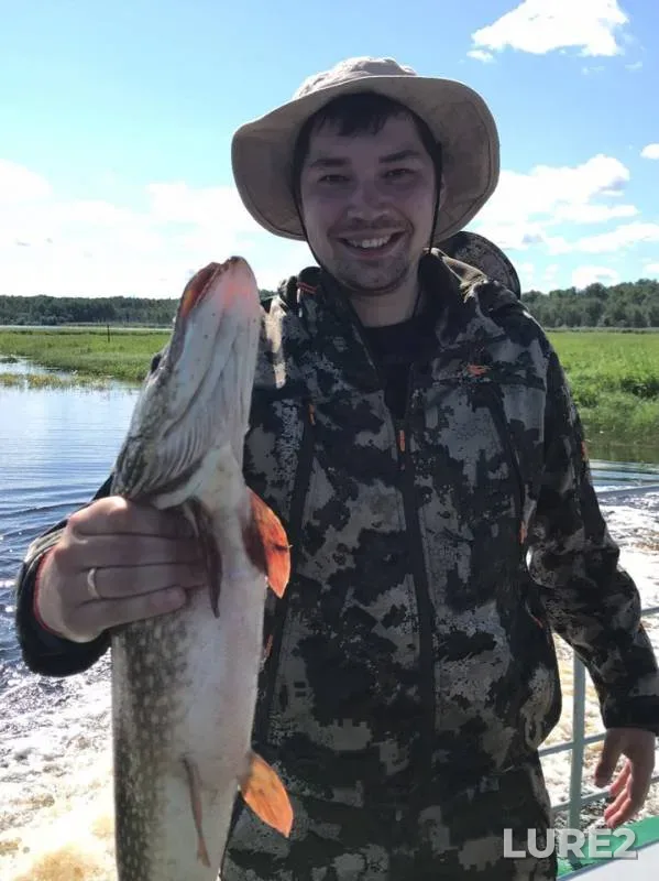 Perch, Pike — protoka Vandykova, Jul 09, 2019