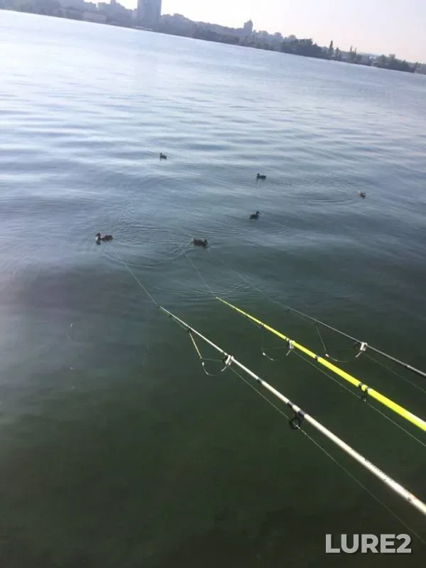 Bream — Voronezhskoye, Jul 28, 2019