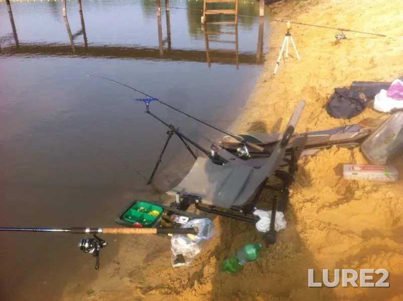 Carp — Bolshaya Vereyka, Jul 28, 2019