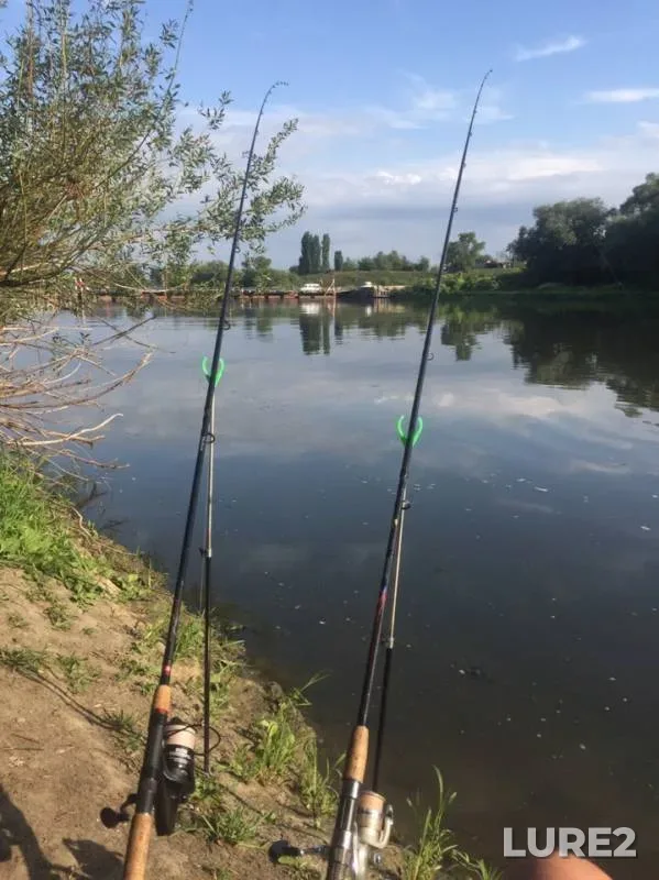 Crucian carp, White bream — Don, Jul 30, 2019