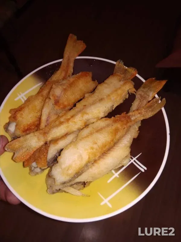 Perch — Don, Aug 03, 2019