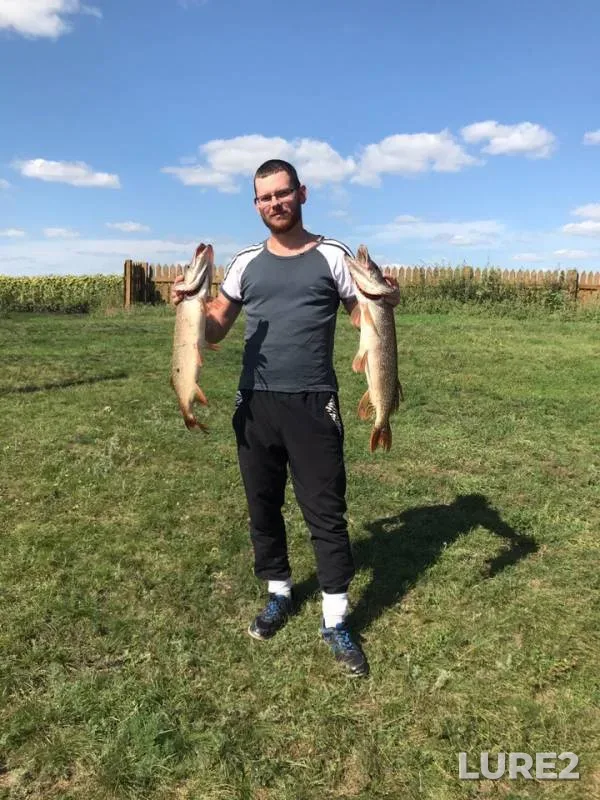 Pike — Mosalskiy, Aug 11, 2019
