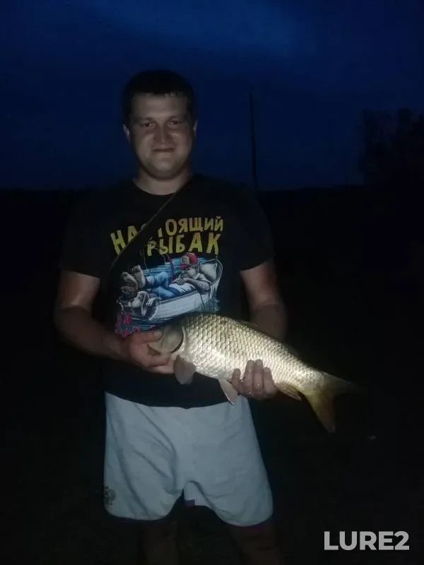 Carp, Crucian carp — Rodniki, Aug 17, 2019
