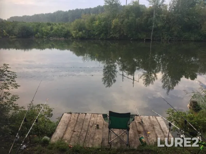 Carp — Voronezhskaya oblast, Aug 19, 2019