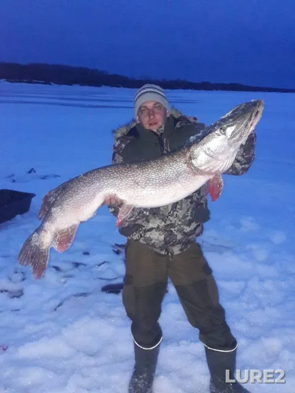 Pike — protoka Pomogayka, Apr 20, 2019