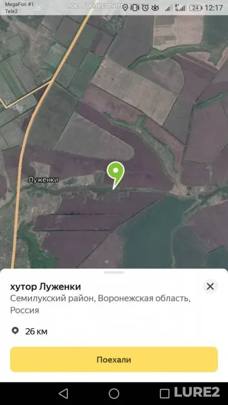 Carp, Crucian carp — Voronezhskaya oblast, Sep 02, 2019