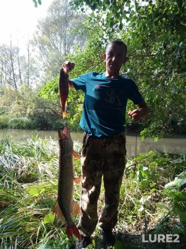 Pike — Veduga, Sep 07, 2019