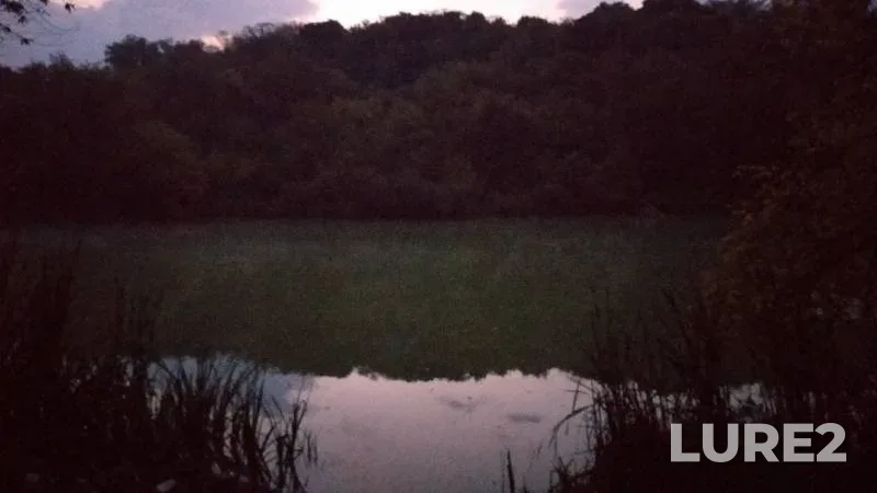 Crucian carp — Krugloye, Sep 09, 2019