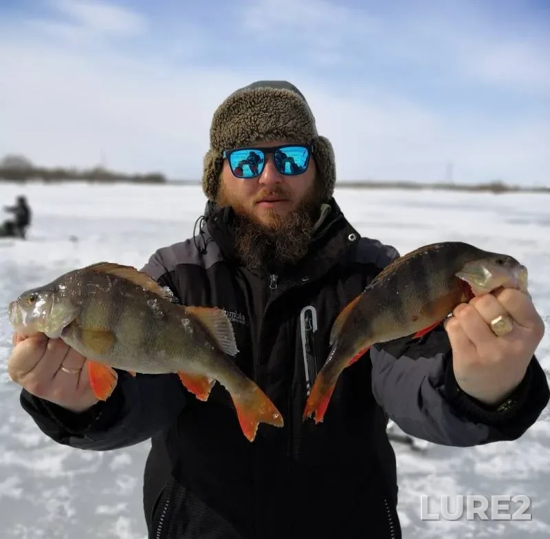 Perch — Khanty-Mansiyskiy avtonomnyy okrug — Yugra, Apr 11, 2019