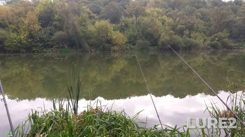 Crucian carp — Krugloye, Sep 07, 2019