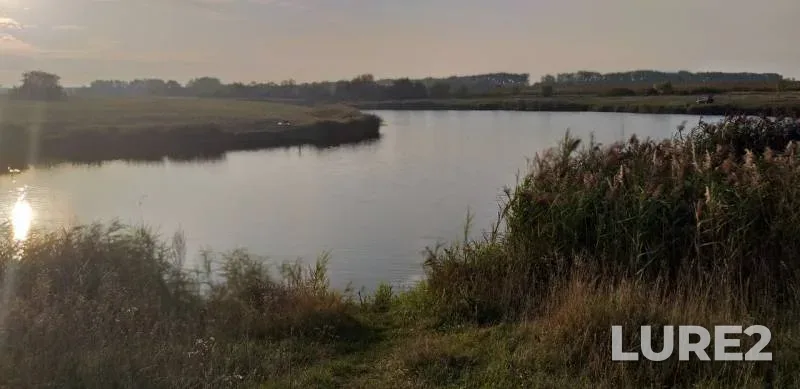 Carp, Crucian carp — Voronezhskaya oblast, Sep 03, 2019