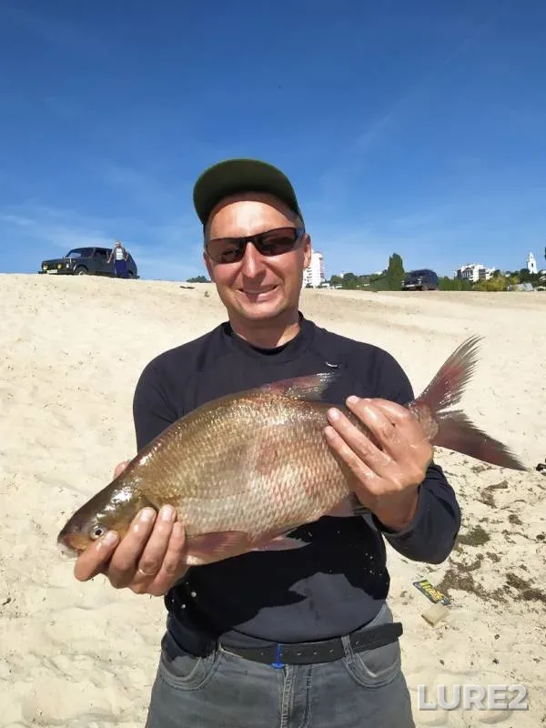 Bream — Voronezhskoye, Sep 03, 2019