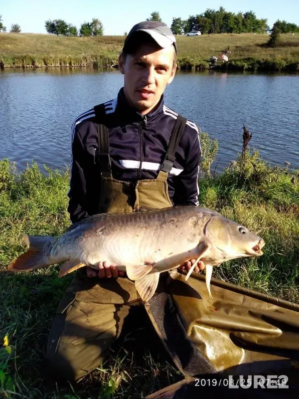 Carp — Dalniy Rag, Aug 26, 2019
