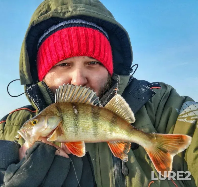 Perch — Khanty-Mansiyskiy avtonomnyy okrug — Yugra, Mar 25, 2019