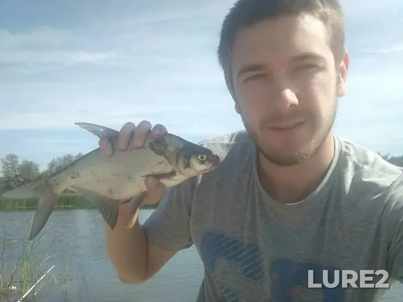 Bream, Perch — Usmanka, Aug 30, 2019