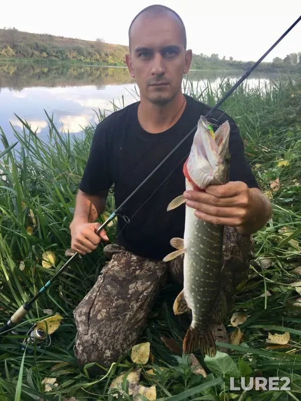Pike — Don, Sep 12, 2019
