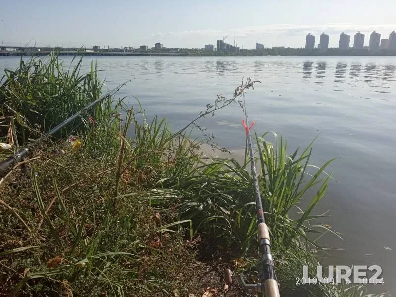 Roach, Tench — Voronezhskoye, Sep 15, 2019
