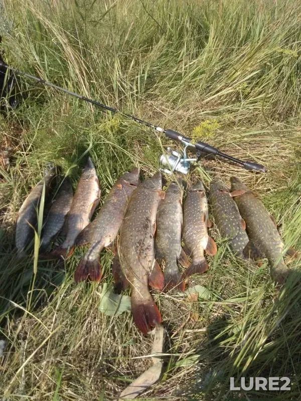 Pike — Samara, Jul 20, 2018