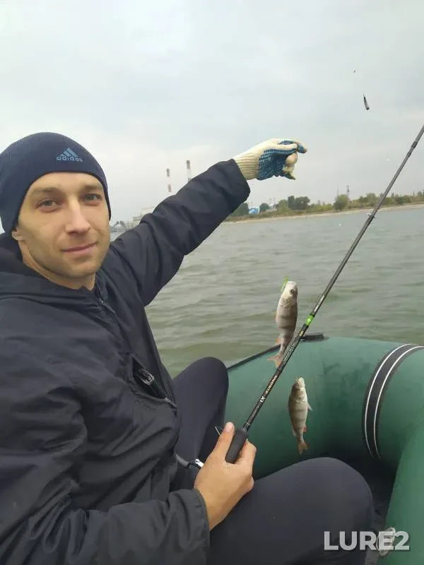 Perch — Voronezh, Sep 27, 2019