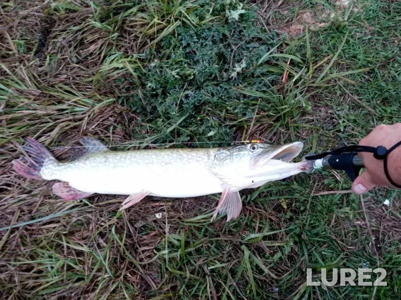 Pike — Dalniy Rag, Oct 05, 2019