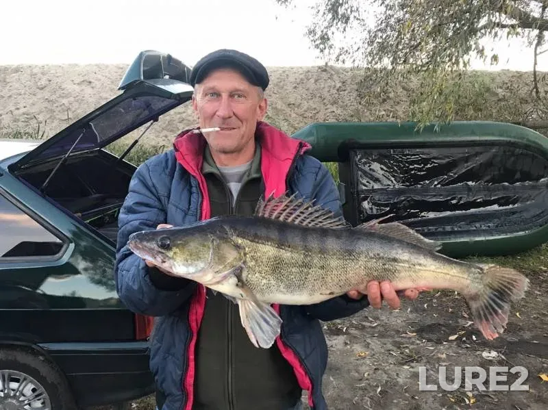 Zander — Voronezhskoye, Oct 02, 2019