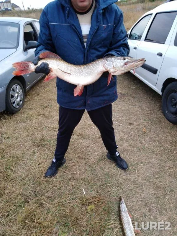 Pike — Ikorets, Oct 01, 2019