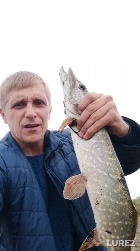 Pike — "Selkhoztekhnika", Sep 27, 2019