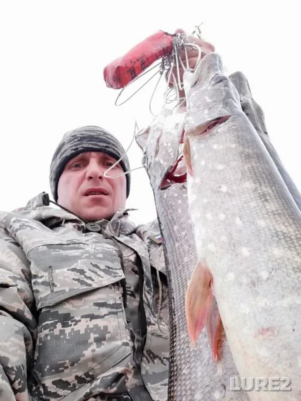 Pike — "Selkhoztekhnika", Oct 06, 2019