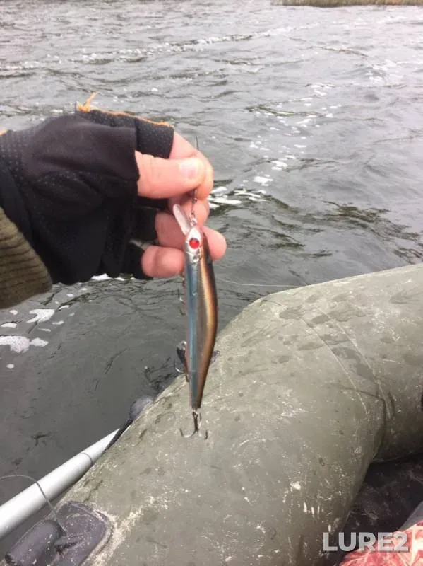 Pike — Voronezh, Oct 07, 2019