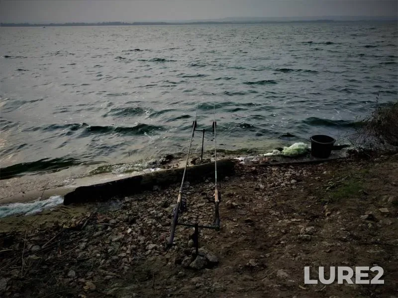 Carp — Prud-okhladitel 5 energobloka, Oct 23, 2019