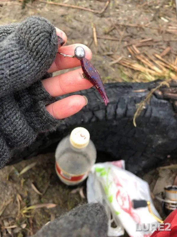 Pike — Usmanka, Nov 09, 2019