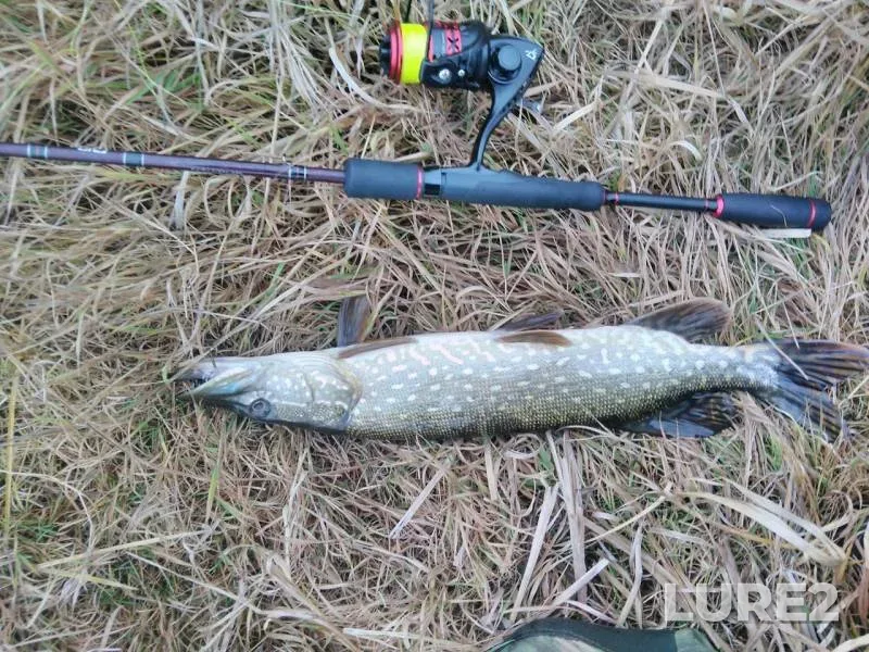 Pike — Usmanka, Nov 10, 2019