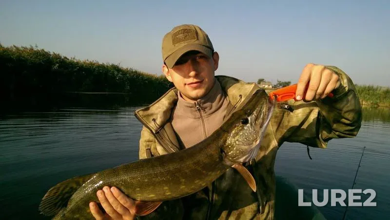Pike — Dnіpropetrovska oblast, Sep 07, 2017