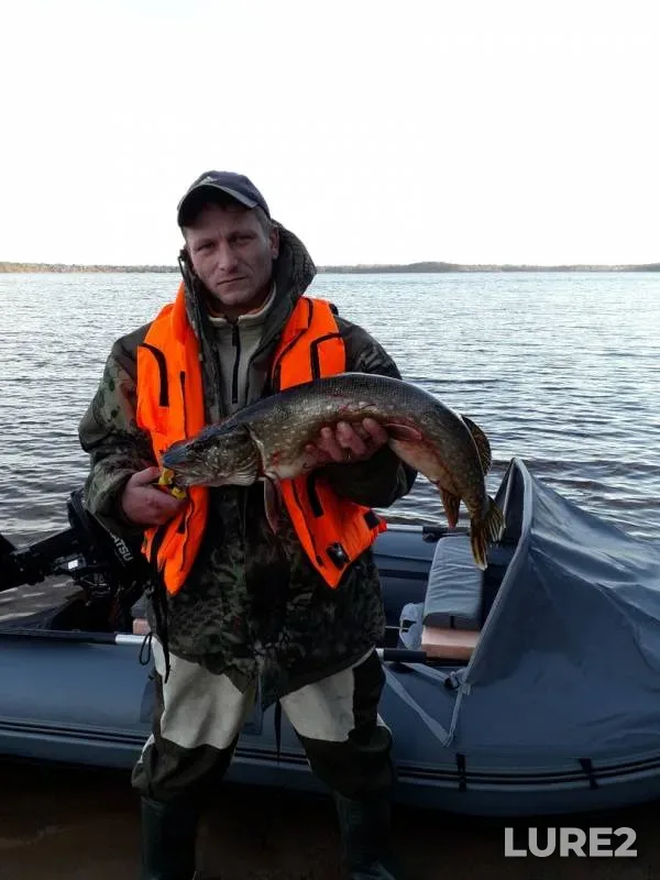 Pike — Vedlozero, Nov 21, 2018
